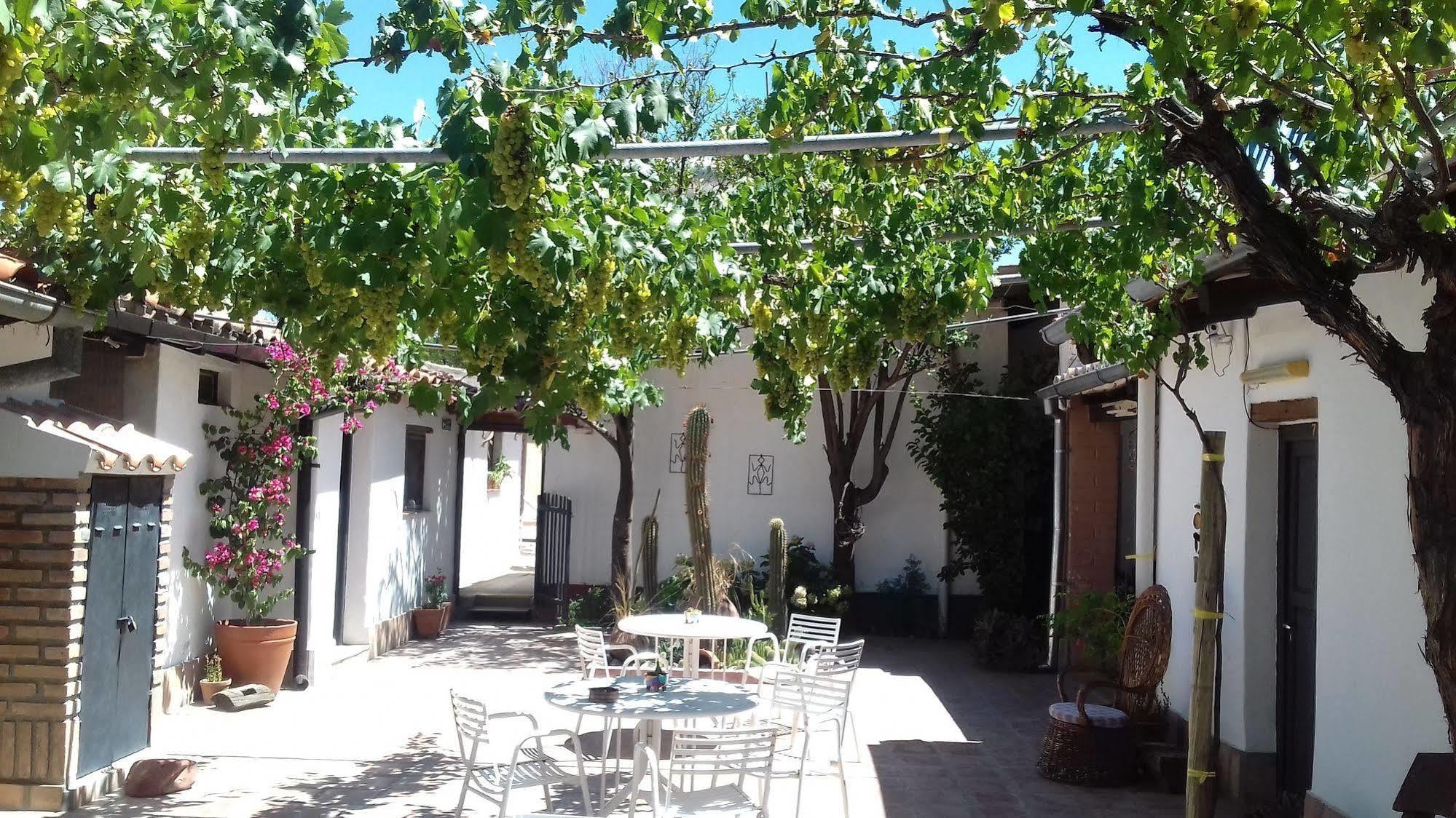 Hostal Tierra De Vinos Cafayate Luaran gambar